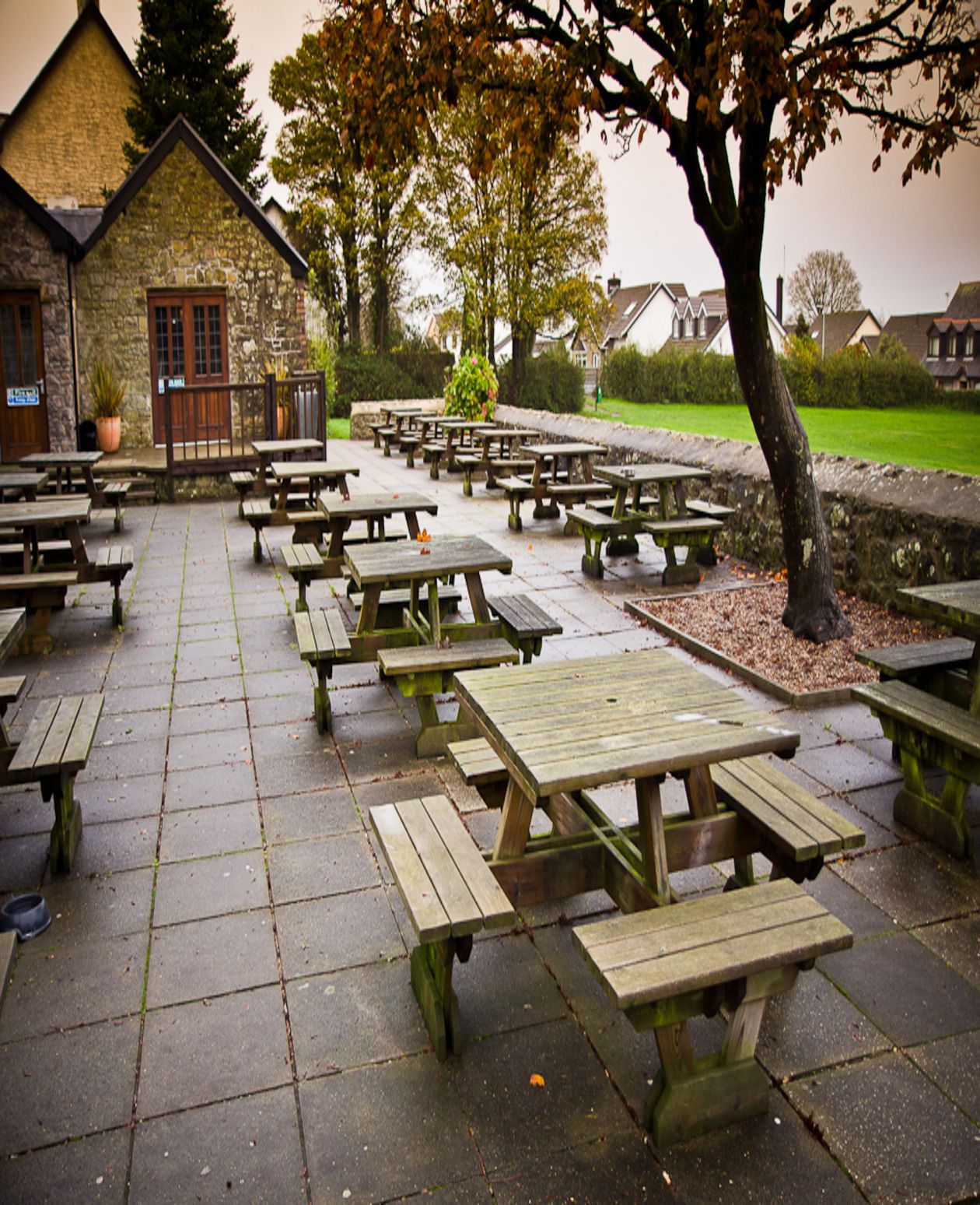 The Pheasant